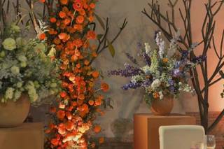 Ex Hacienda San José Espacio Cultural - 4