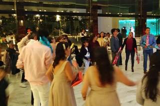 Rodea Show - 1