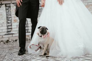 Aguirre & Almaguer - 20