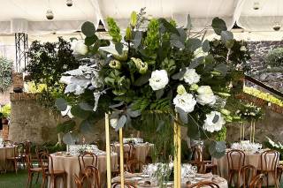 MR Weddings & More - 8