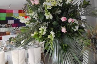 Casa Diseños - 7