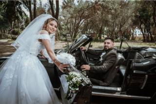 La Belle Époque - 11