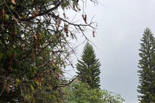 Hacienda Xochicíhuatl - 20