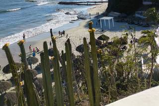 Grand Palladium Vallarta Resort & Spa - 18