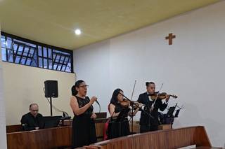 Seratta Violines - 6