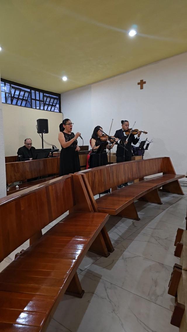 Seratta Violines - 3