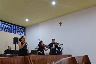 Seratta Violines - 7