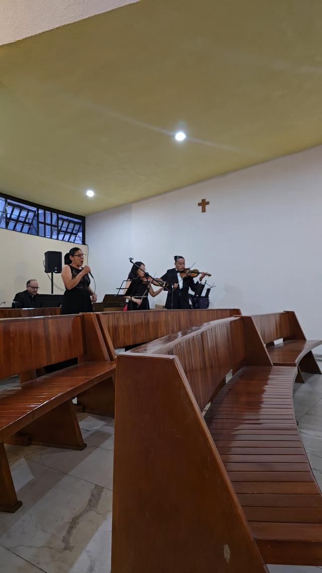 Seratta Violines - 4