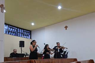 Seratta Violines - 8
