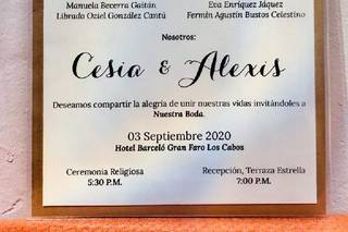 The Radical Factory - 5