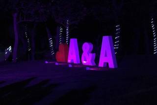 Mega Letras Puebla - 15