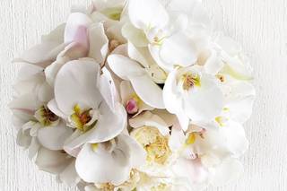 Fabiola Dorado Alta Floristería - 10