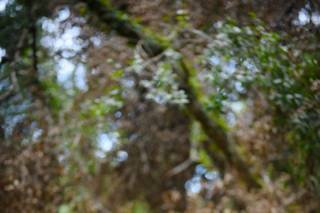 Perfiles Fotografía & Diseño - 16