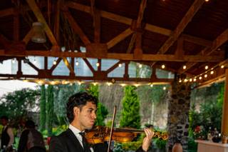 Carlos Delgadillo - Violinista - 8