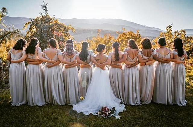 Viñedos Aldo César Palafox - 1