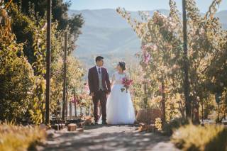 Viñedos Aldo César Palafox - 7