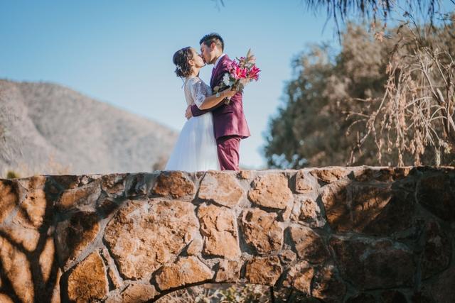 Viñedos Aldo César Palafox - 4