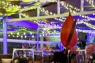 Valle de los Reyes - 20