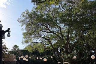 Villa San Luis Boutique - 6