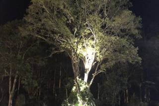 Jardín Finca Escondida - 12