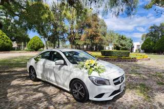 CarWhite Rent Elite - 8