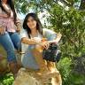Amparo
