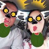Leeharen