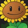 Naty