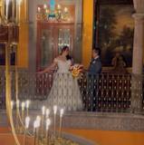 Araceli