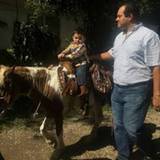 Rogelio