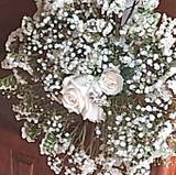MIRTHA