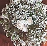 MIRTHA