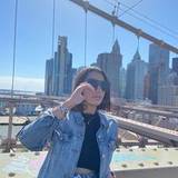 Dianett