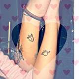 Fann