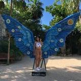 Fabiola