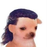 Alan