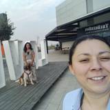 Damaris