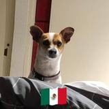Rodrigo
