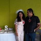 Stephania