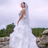Haydee