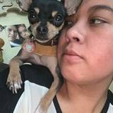 Karol