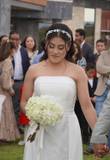 Alondra