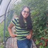 Ivette