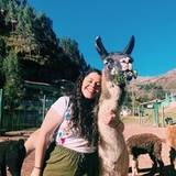 Marcela