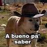 Alejandro