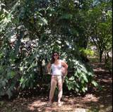 Eugenia