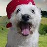 Leopoldo