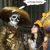 Vivix