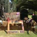  Ayuda!! mi boda  será con temática entre ranchera y vaquera - 1