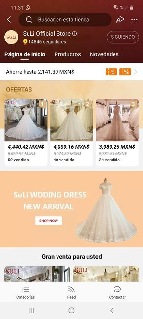 Vestido de novia - 1